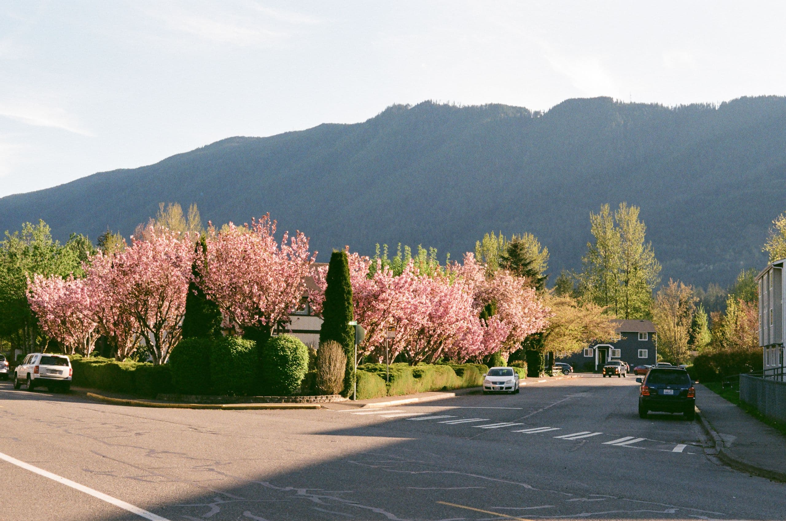 North Bend, Spring Blossoms